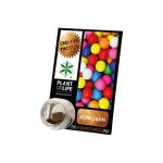 Extracción de chicle de CBD sólido al 3.8% 1G